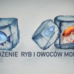 Jak mrozić ryby skutecznie, aby uniknąć strat i zachować świeżość