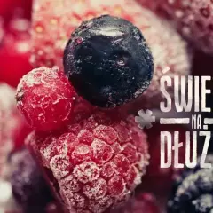 Czy sałatę można mrozić? Odkryj, które rodzaje się nadają