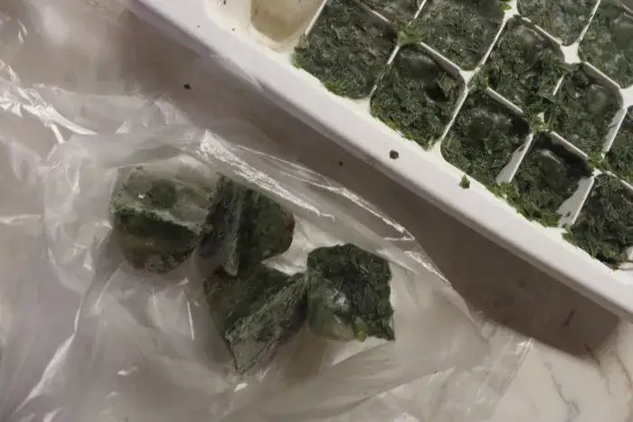 Zdjęcie Jak mrozić miętę, aby zachować jej świeżość i aromat na długo