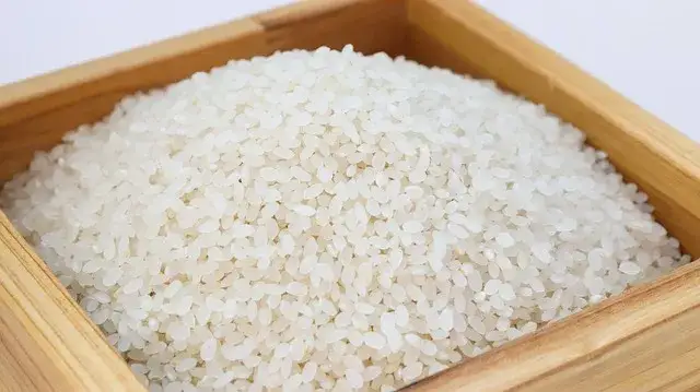 Zdjęcie Ile zalewy do ryżu sushi - idealne proporcje dla perfekcyjnego smaku
